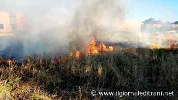 Incendio intorno all'ex Istituto psicopedagogico fra Trani e Bisceglie. Anche i residenti si adoperano per circoscrivere le fiamme. - ilgiornaleditrani - Radio Bombo