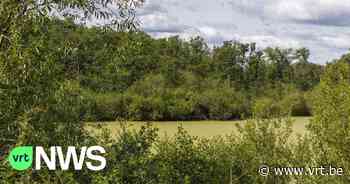 Mysteries ontrafeld: Ligt er een verzonken stad onder Kinrooi? - VRT NWS