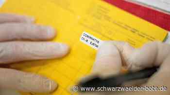 Prozess in Balingen: Impfaufkleber gestohlen? Verhandlung eingestellt - Balingen & Umgebung - Schwarzwälder Bote
