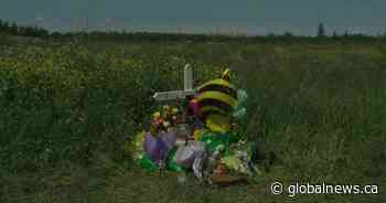 Woman dead after motorcyclist crashes into tree: EPS