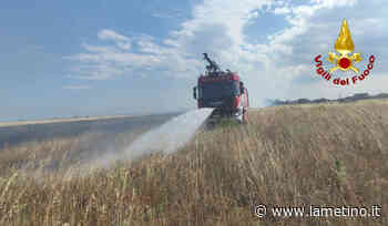 Emergenza incendi a Crotone, oltre venti interventi dei Vigili del Fuoco - Il Lametino