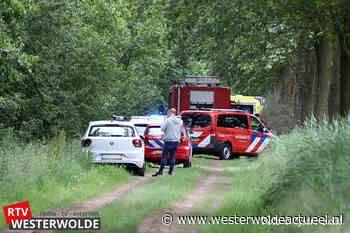 HARPEL – Auto rijdt tegen boom in Harpel - Westerwolde actueel