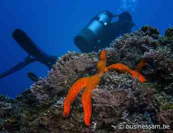 Groeiende vraag naar EV-batterijen zorgt voor boom diepzeemijnbouw, maar is dat wel een goede zaak? - Business AM - NL