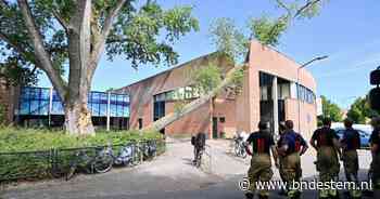 Boom valt zomaar op dak zwembad in Breda: 'Soms is de natuur niet te voorspellen' - BN DeStem