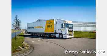Daily Logistics Group (DLG) takes over logistics activities from GIST Nederland - hortidaily.com