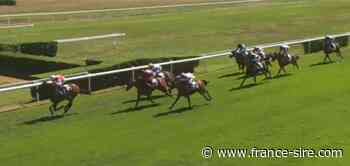 Dax : 1ère victoire de Taareef - France-sire