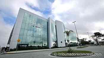 Itaberaba: Homem morre após ser atingido por coice de cavalo - Tribuna do Recôncavo