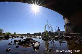 40 Grad! Dresden droht Mitte Juli der absolute Hitzerekord - TAG24