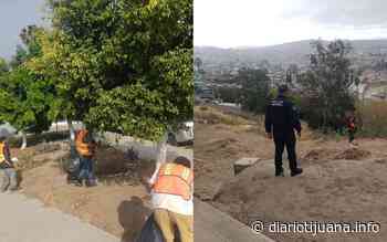Recupera Gobierno de Ensenada más de 400 áreas verdes y espacios públicos - Diario Tijuana