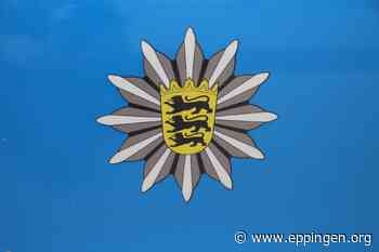 ▷ Gemmingen: Kind springt auf Fahrbahn - Eppingen.org