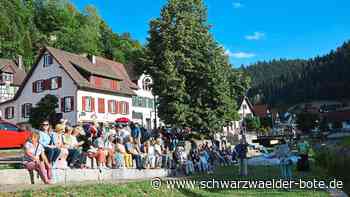 Kultur in Schiltach - Kunst von Forelle blau ist wieder am Vorland aufgetaucht - Schwarzwälder Bote