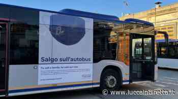 "Si metta la mascherina", autista del bus aggredito tra Pisa e Viareggio - Luccaindiretta - LuccaInDiretta