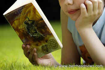 Hillview Primary kids have 'booknic' for winning award - Barrhead News