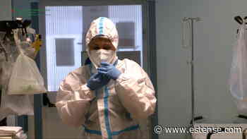 Covid-19, i contagi a Ferrara e provincia tornano a salire | estense.com Ferrara - Estense.com