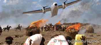 Fernando Meirelles's The Constant Gardener: Spotlighting Great Thrillers for Focus Features 20th Anniversary - Focus Features
