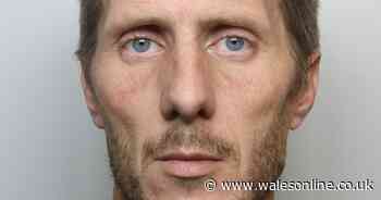 'Trusted' gardener caught on camera stealing £680 from pensioner's handbag - Wales Online