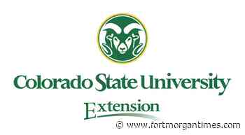 Horticulture on the go: Colorado State University Relentless Gardener Podcast - Fort Morgan Times
