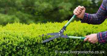Rogue gardener carried on ripping off customers even as police investigated him - Liverpool Echo