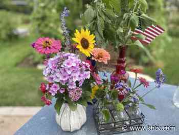 Weekend Gardener: Independence Day entertaining - KBTX