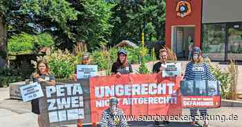 Peta vor dem Zoo Neunkirchen: Aktivisten wollen gegen Haltung von Affen aufklären - Saarbrücker Zeitung