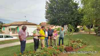 Montech. Concours villes et villages fleuris : la ville est prête - LaDepeche.fr