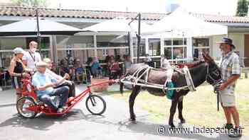 Montech. Steeve, de restaurateur à l'animation équestre - LaDepeche.fr