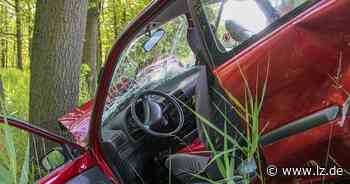 Betrunkene Lemgoerin fährt vor Baum | Lokale Nachrichten aus Lemgo - Lippische Landes-Zeitung