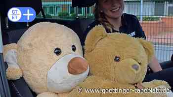 Polizei findet Teddybären an B3 bei Bovenden und sucht Besitzer - Göttinger Tageblatt