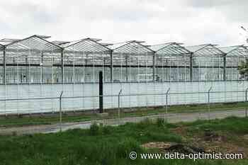 Worker housing proposed for East Delta greenhouse - Delta Optimist
