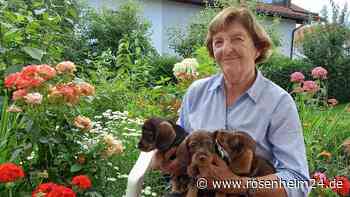„Ohne Dackel könnt‘ ich nicht leben“: Therese Schrelle aus Albaching züchtet noch mit 87