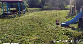 “Il Parco dell'Elefante è stato ripulito da erba e immondizia” - Rieti Life