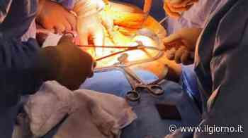 Maratona di speranza all’ospedale di Sesto - IL GIORNO