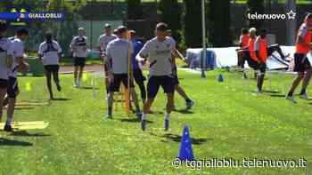 Sesto giorno di ritiro per il Verona di Cioffi. Il VIDEO della giornata - TG Gialloblu