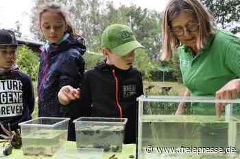 Kinder auf der Spuren von Wassertieren - freiepresse.de
