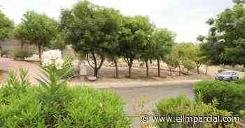 Hermosillo: Cuidan parque y camellones en Los Encinos - EL IMPARCIAL Sonora