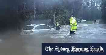 Woman rescued from car stuck in flood, fears for new risk in Sydney clean-up - Sydney Morning Herald