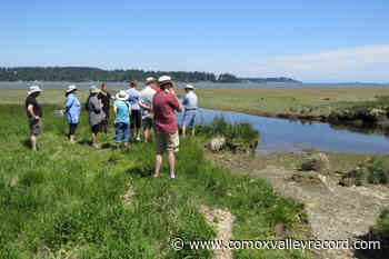 Courtenay’s Millard-Piercy Watershed Stewards hosting ‘Family Watershed Day’ - Comox Valley Record