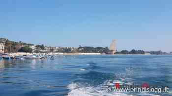 Progressisti per Brindisi: "Un ritorno della politica alla politica" - BrindisiOggi