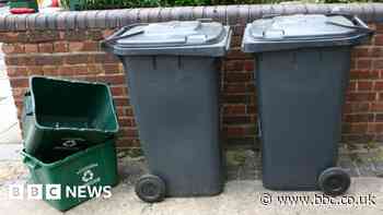 New Forest wheelie bins set for council go-ahead - BBC
