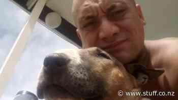 Police search forest for suspected murder victim Anaru Moana - Stuff