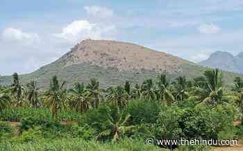 Kattanjimalai in Coimbatore lacks proper watch by Forest Department - The Hindu