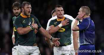 South Africa v Wales referee Angus Gardner's playing career-ending diagnosis and Owen Farrell regret - Wales Online