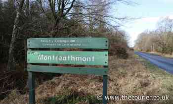 Angus solar developer wants to build giant farm inside forest - The Courier