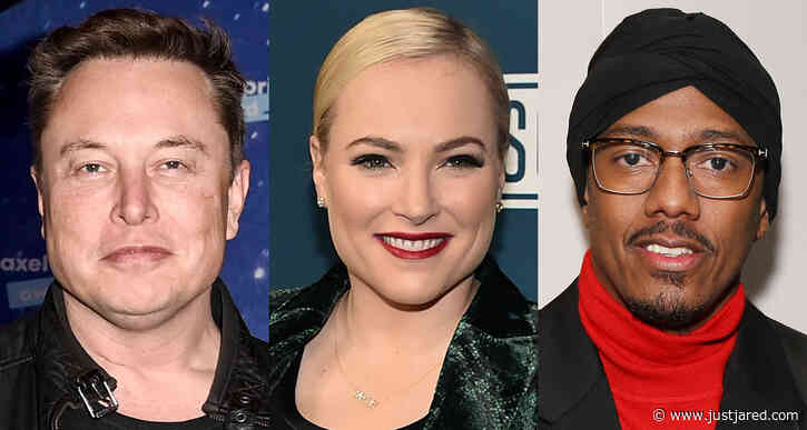 Meghan McCain Slams Nick Cannon & Elon Musk Over Their 'Impregnate the Planet' Mentality