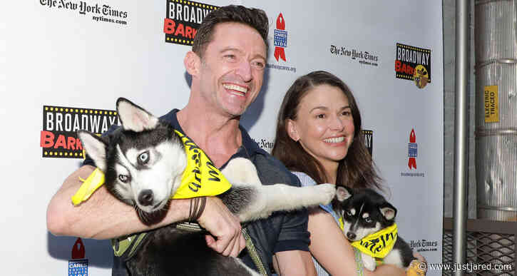 Hugh Jackman & Sutton Foster Cuddle with Puppies at Broadway Barks 2022 in NYC