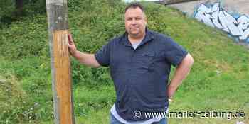 Baumfrevel am Kanal in Waltrop – Rinde von Baum abgerissen - Marler Zeitung