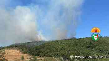 Incendio oggi, a fuoco un bosco a Sinalunga: il vento spinge le fiamme - LA NAZIONE