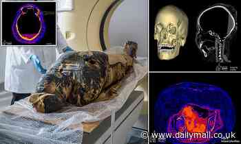 World's first pregnant ancient Egyptian mummy had cancer, study finds