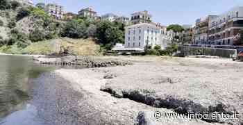 Agropoli: lunedì al via la rimozione della posidonia - Info Cilento