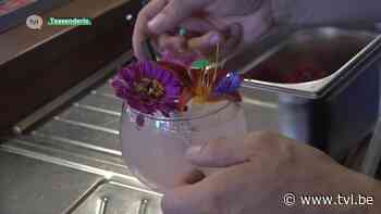 Bar Bloem serveert drankjes met bloemen in Tessenderlo - TV Limburg